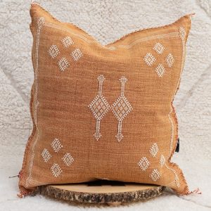 Cactus silk pillow terracotta2